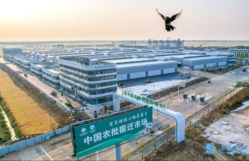 產業旺、村和美、同致富 宿遷集成推進鄉村全面振興的建筑工程實踐